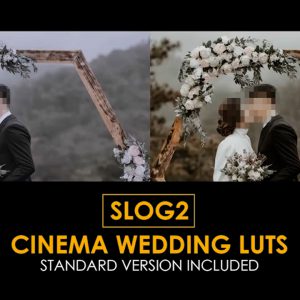 دانلود پریست رنگی فیلم LUT : پکیج پریست ودینگ Cinema Wedding Luts