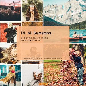 دانلود پریست چهار فصل All Seasons-Lightroom Presets