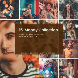 دانلود پریست مجموعه مودی Moody Collection-LRMC1