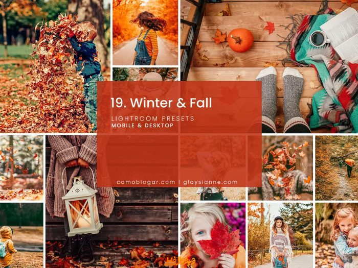دانلود پریست لایت روم و فتوشاپ : پریست زمستانی و پاییزی Winter & Fall